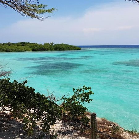 Palmhouse Apartments Aruba 1- 4 Persons Savaneta Екстериор снимка