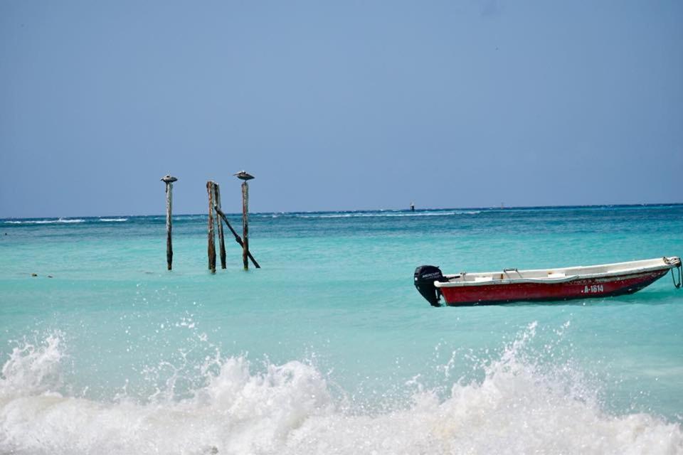 Palmhouse Apartments Aruba 1- 4 Persons Savaneta Екстериор снимка