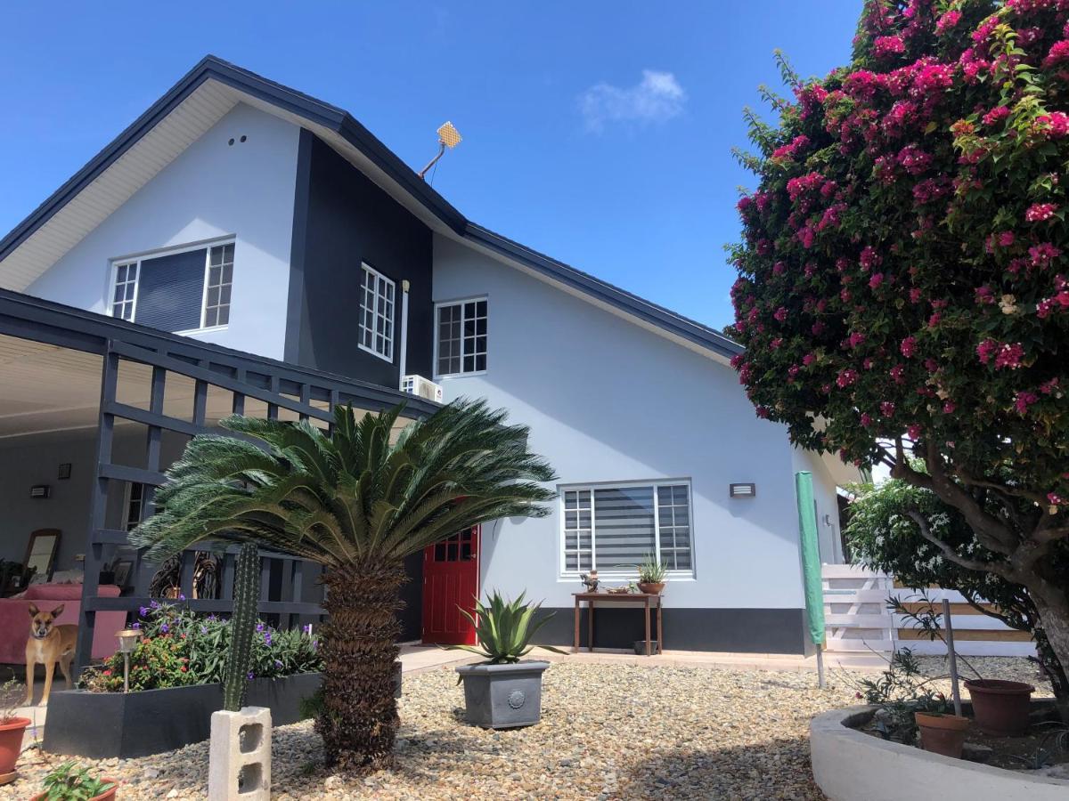 Palmhouse Apartments Aruba 1- 4 Persons Savaneta Екстериор снимка