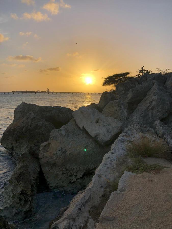 Palmhouse Apartments Aruba 1- 4 Persons Savaneta Екстериор снимка