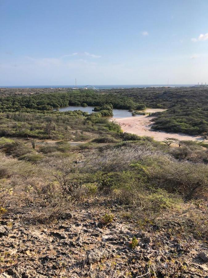 Palmhouse Apartments Aruba 1- 4 Persons Savaneta Екстериор снимка