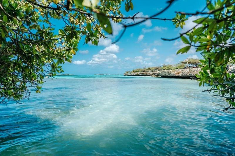 Palmhouse Apartments Aruba 1- 4 Persons Savaneta Екстериор снимка