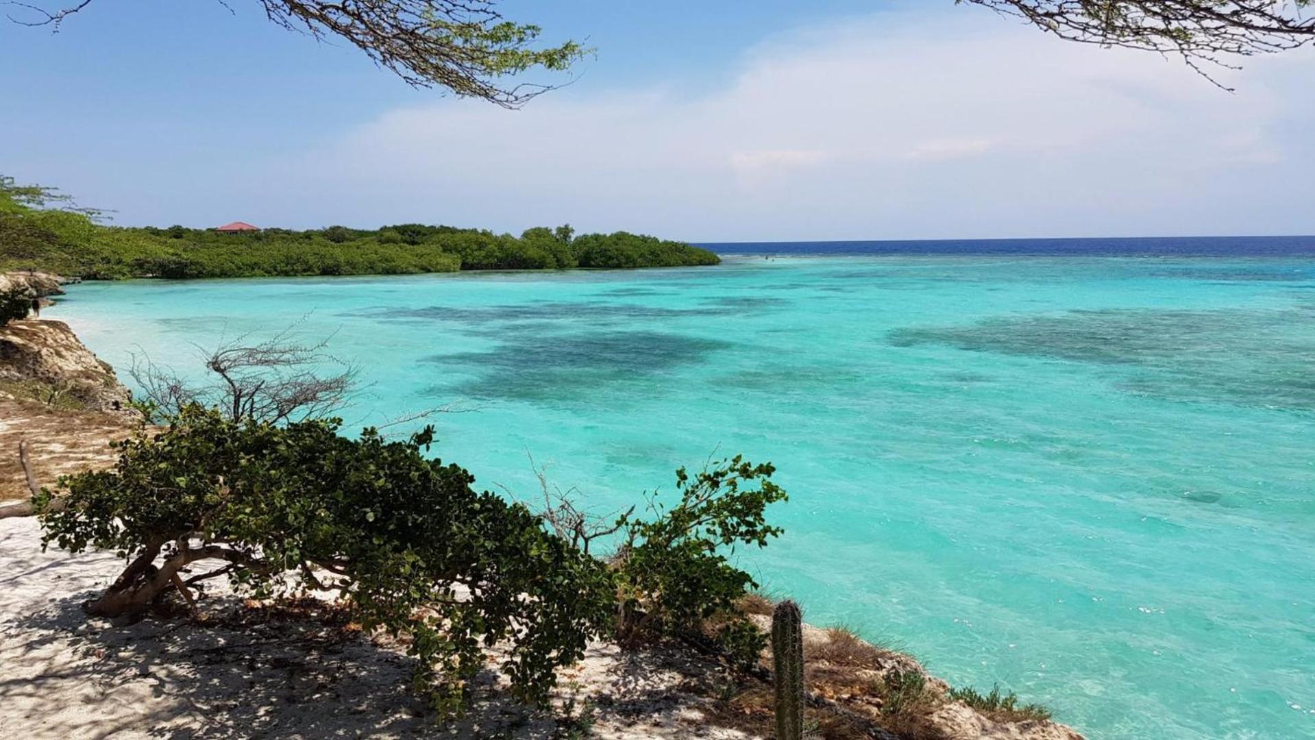 Palmhouse Apartments Aruba 1- 4 Persons Savaneta Екстериор снимка