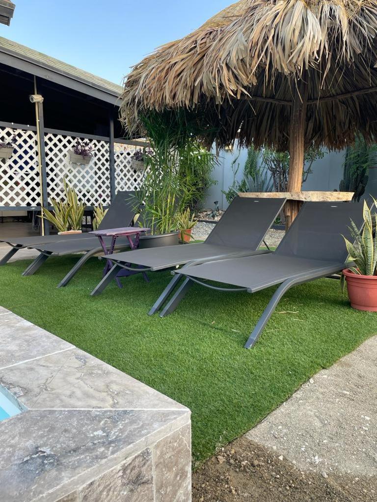 Palmhouse Apartments Aruba 1- 4 Persons Savaneta Екстериор снимка
