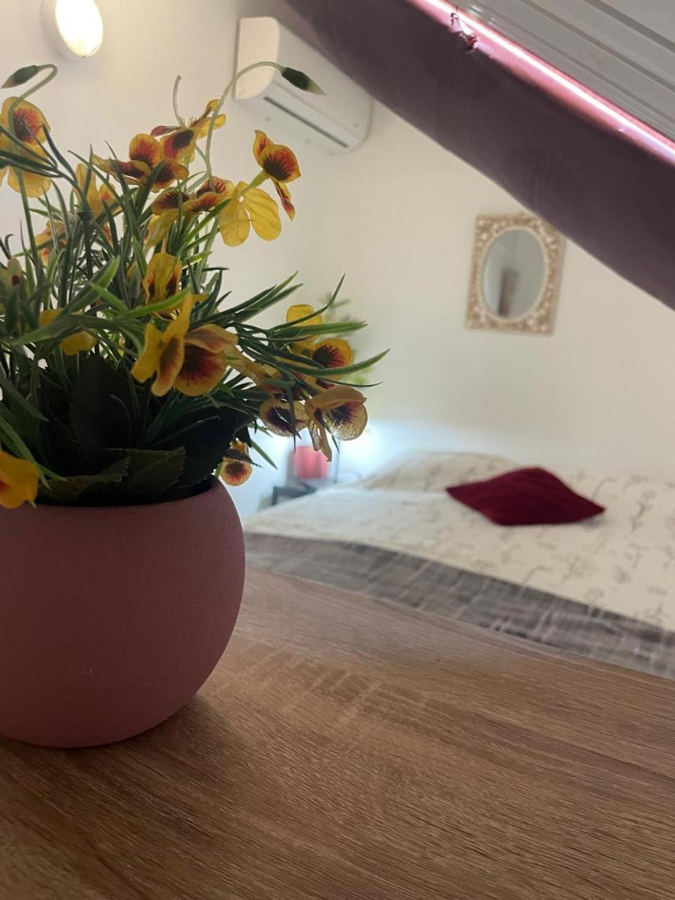 Palmhouse Apartments Aruba 1- 4 Persons Savaneta Екстериор снимка