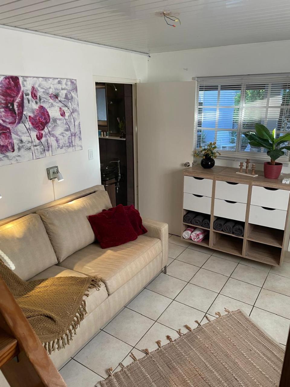 Palmhouse Apartments Aruba 1- 4 Persons Savaneta Екстериор снимка
