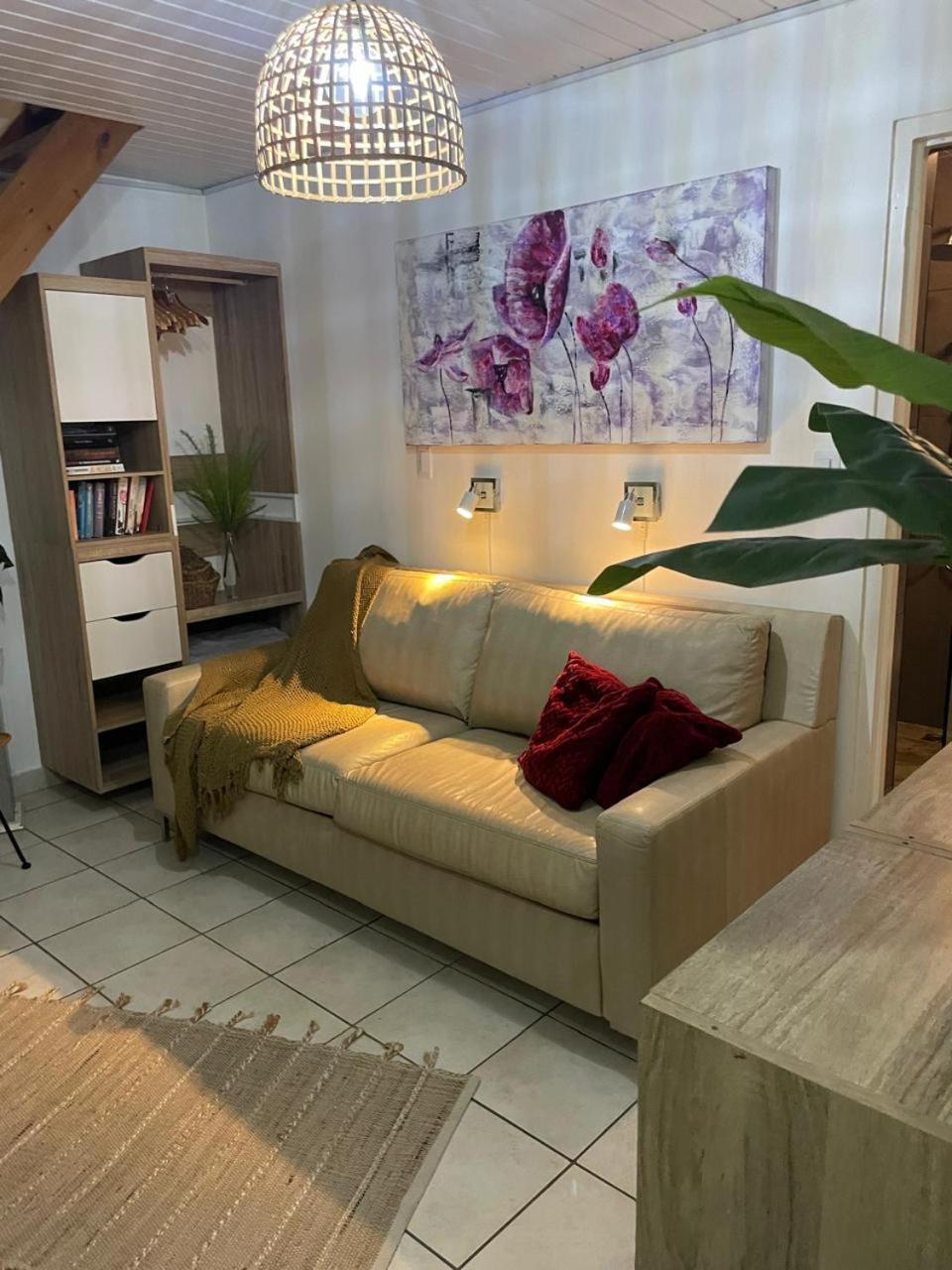 Palmhouse Apartments Aruba 1- 4 Persons Savaneta Екстериор снимка