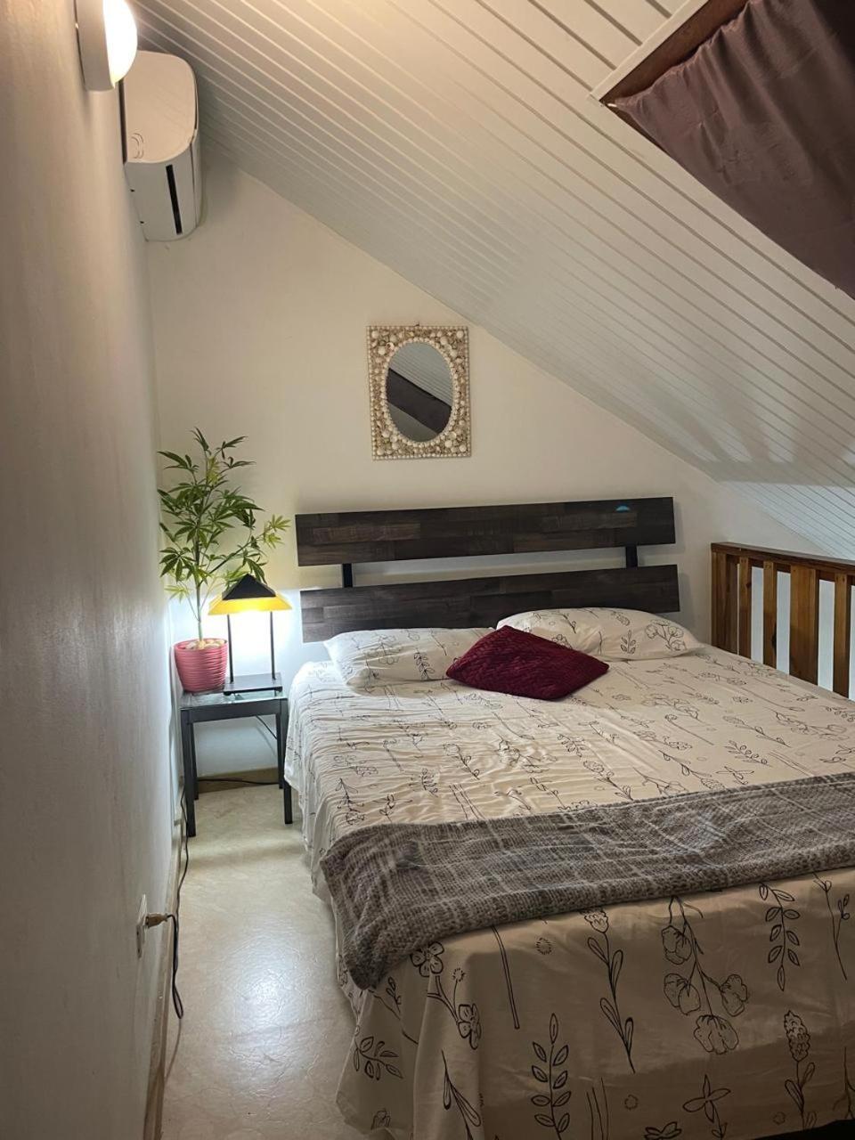 Palmhouse Apartments Aruba 1- 4 Persons Savaneta Екстериор снимка