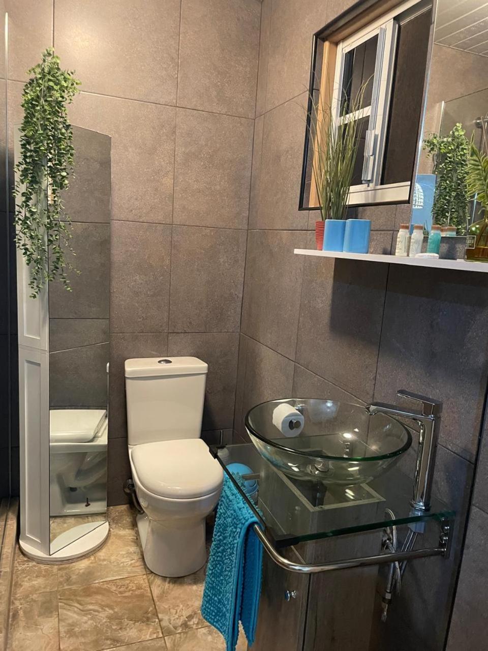 Palmhouse Apartments Aruba 1- 4 Persons Savaneta Екстериор снимка