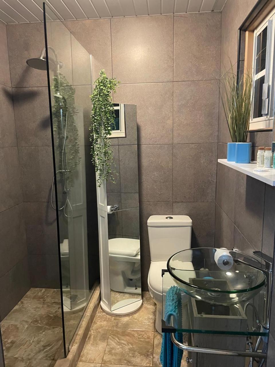 Palmhouse Apartments Aruba 1- 4 Persons Savaneta Екстериор снимка